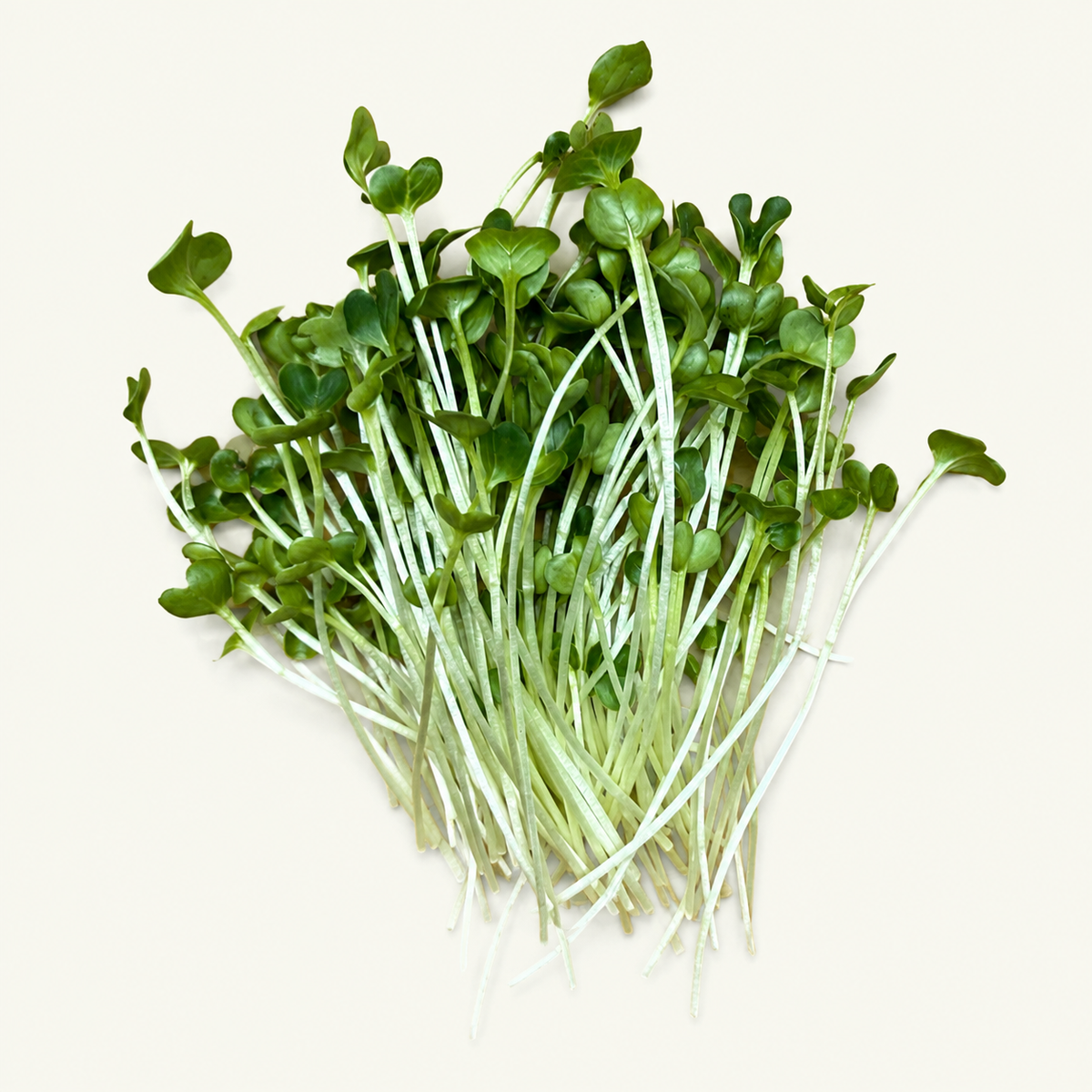 Brokkoli