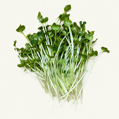 Brokkoli