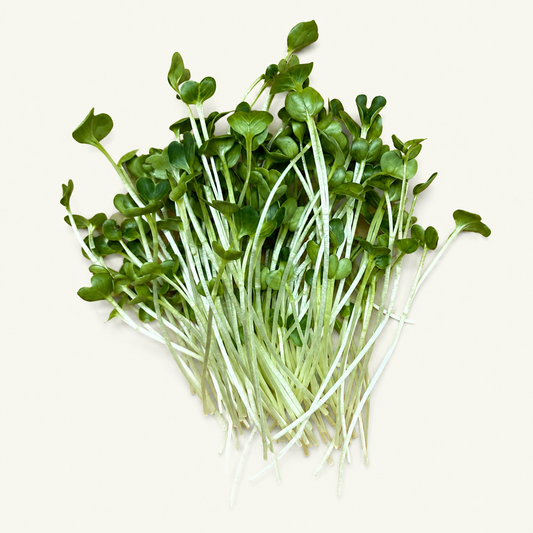 Brokkoli
